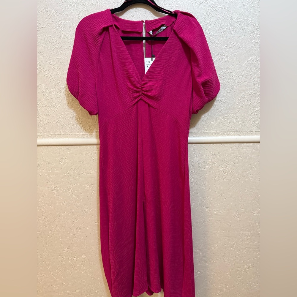 Zara Pink Maxi Dress